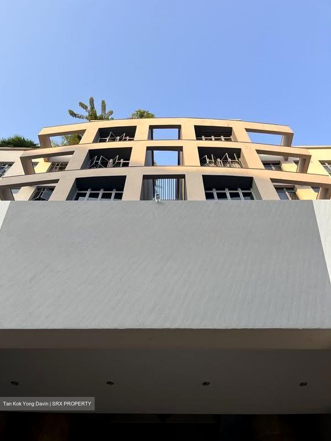 Carissa Park Condominium (D17), Condominium #616487321